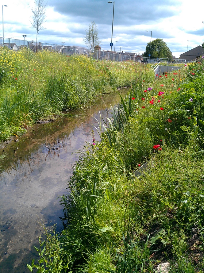 River Bure diversion design showing before and after alignment