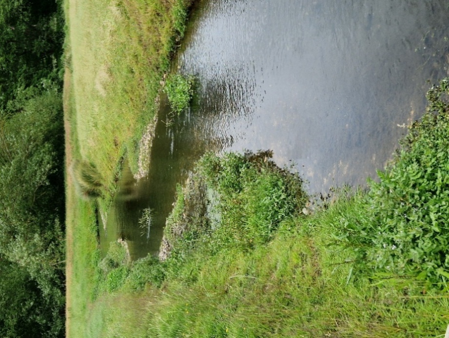 Chartham RCA