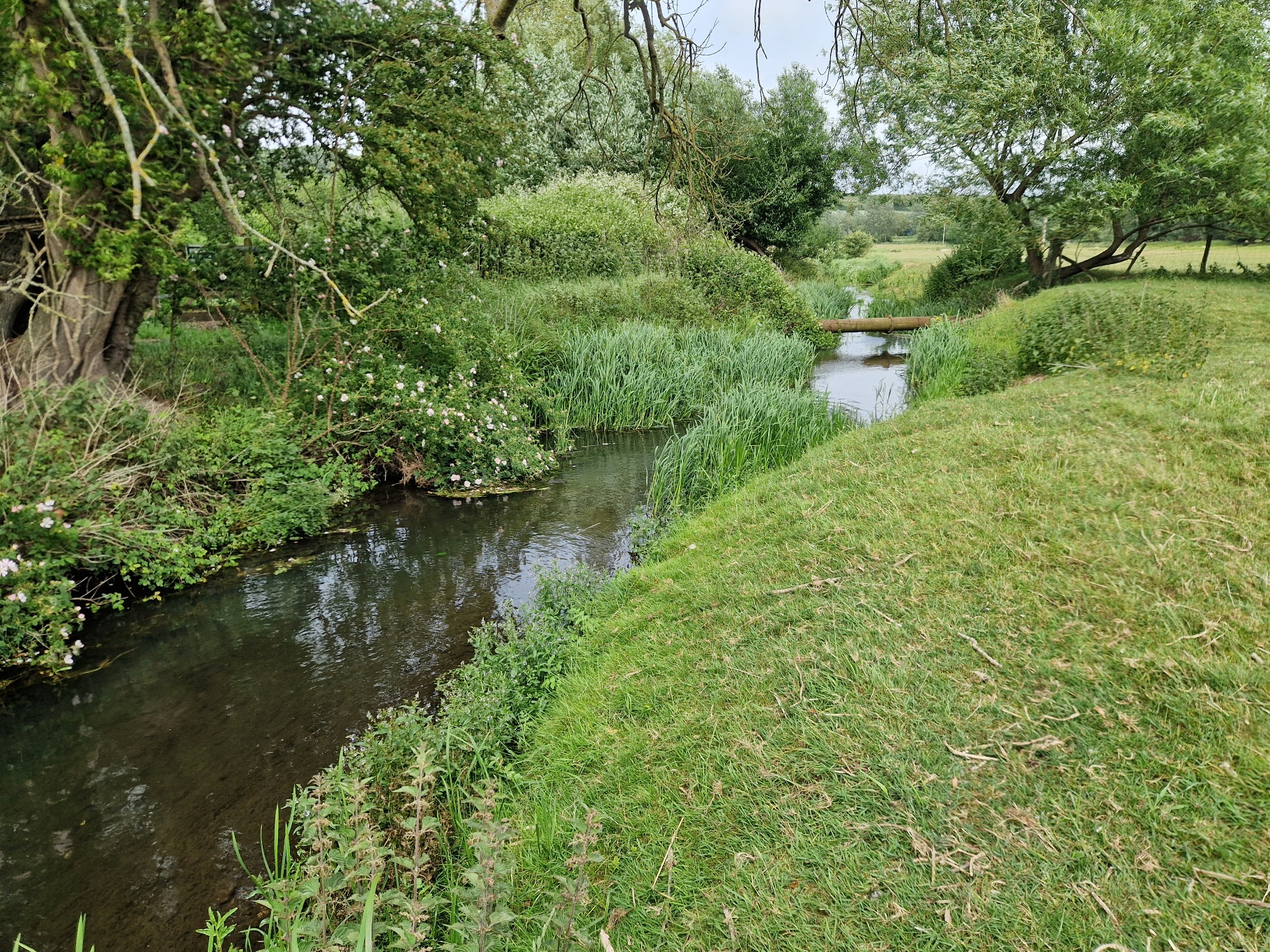Chartham RCA