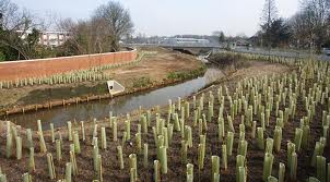 Earthworks and ground shaping during Hoe Valley flood defence construction, Woking