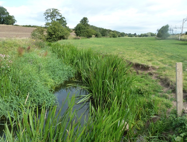 Norton Bridge