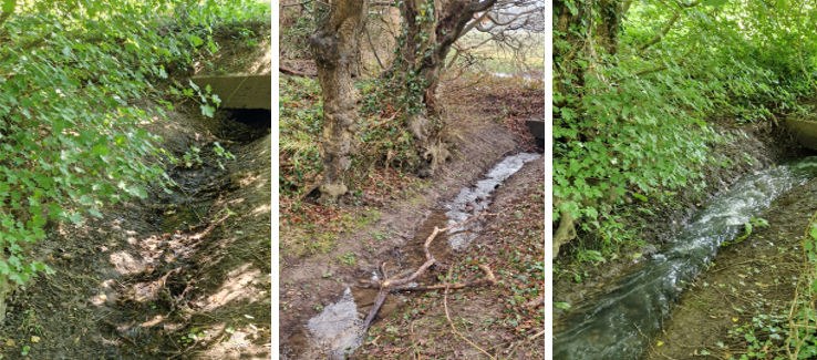 Sturry Monitoring