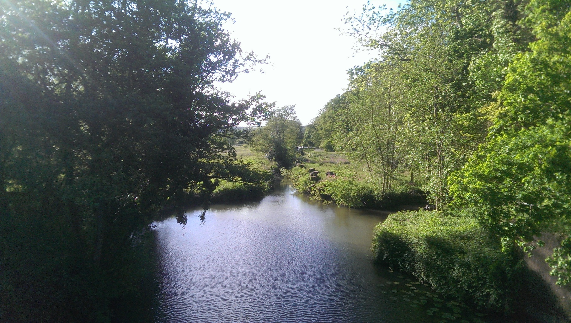 Wey and Arun Canal